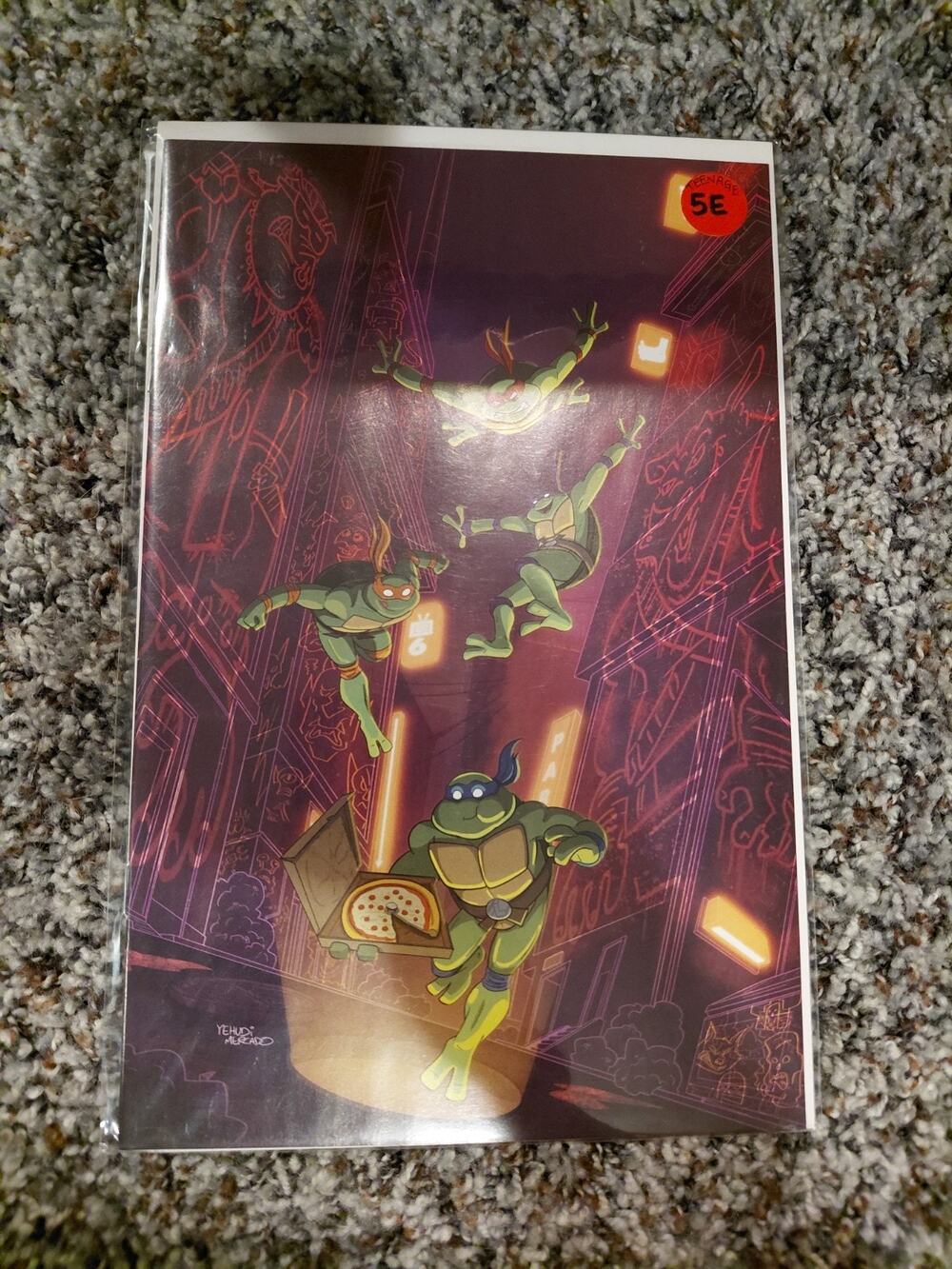 Teenage Mutant Ninja Turtles: Saturday Morning Adventures #5 Cover E